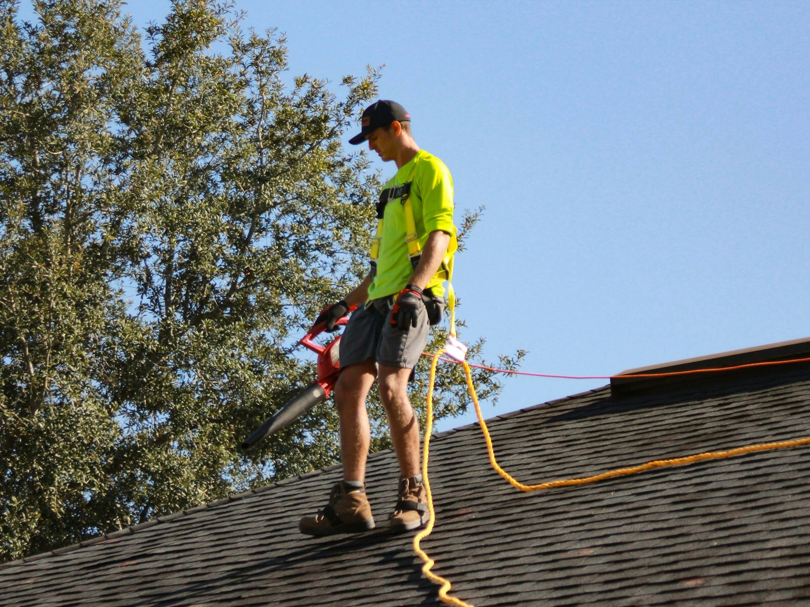 Professional roof cleaning service removing moss and algae
